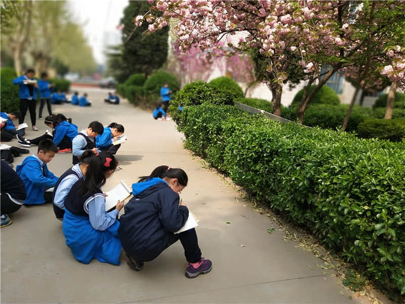 小學(xué)美術(shù)寫生課