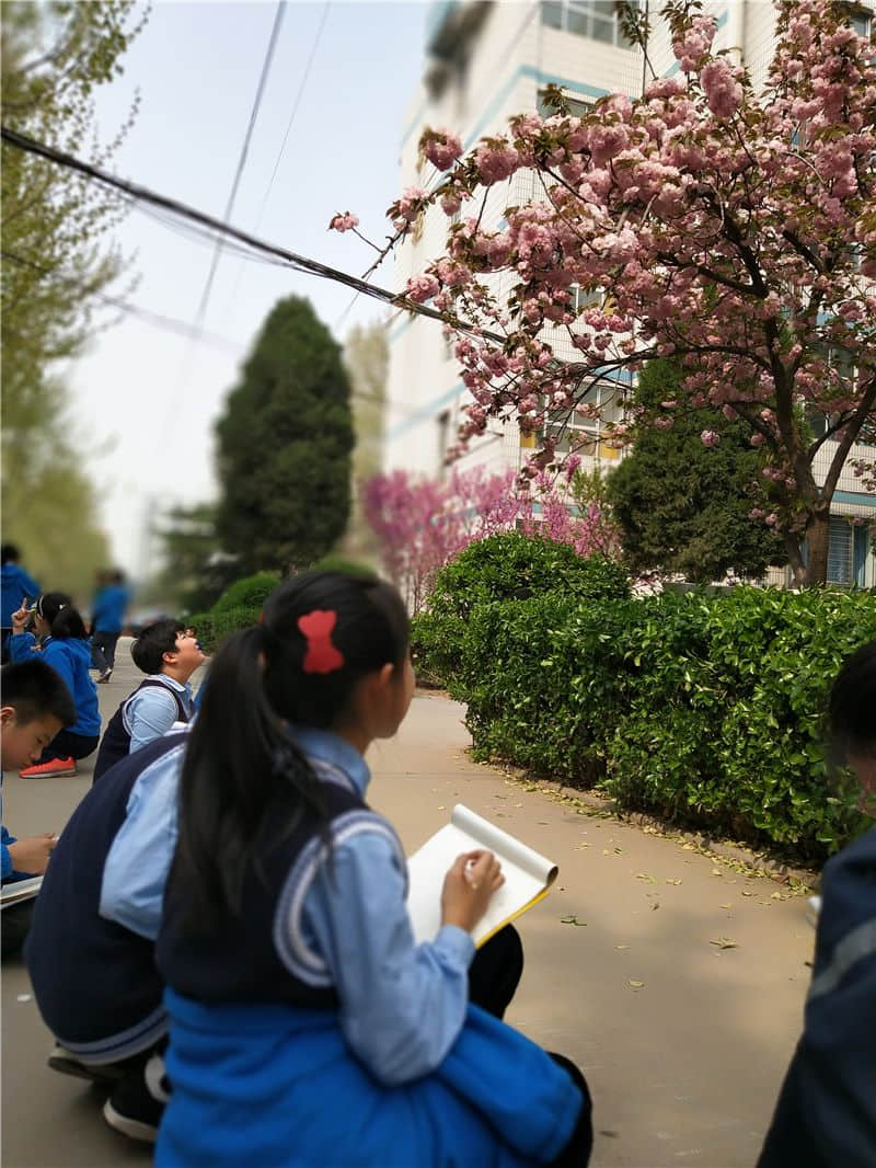 小學(xué)美術(shù)寫生課