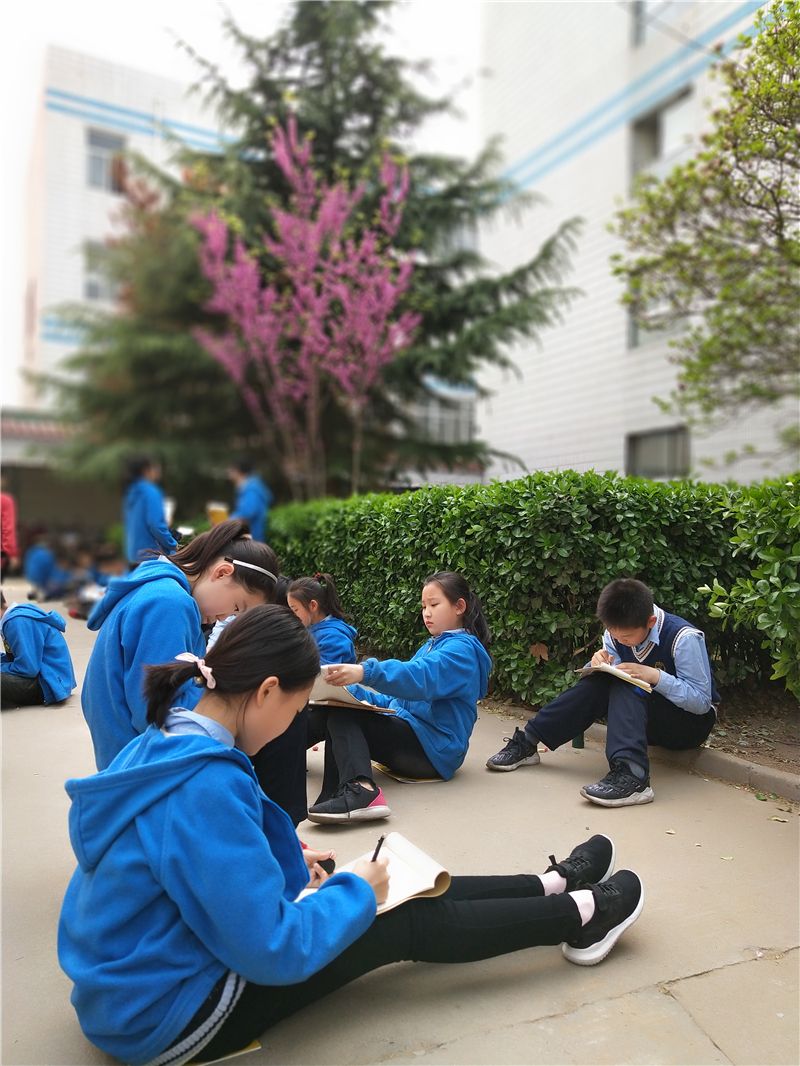 小學(xué)美術(shù)寫生課