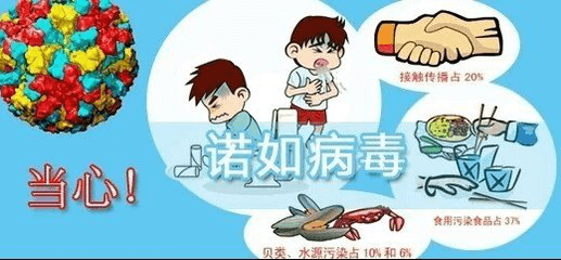 當心！諾如病毒