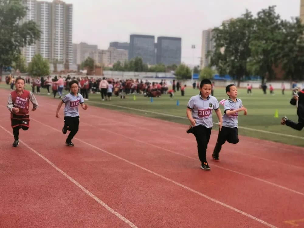 【五育并舉】共燃體育夢，一起向未來——私立一中附屬小學(xué)體育節(jié)