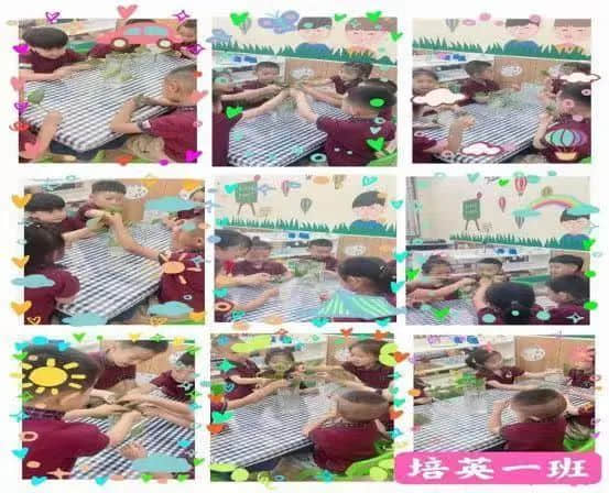 芒種芒種、幸福播種——私立一中附屬幼兒園24節(jié)氣“芒種”主題活動(dòng)