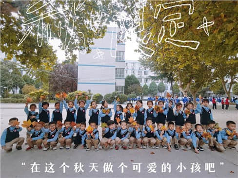 【預(yù)之秋】秋實甚美，追光而“預(yù)”——別眨眼！私立一中小預(yù)娃拾秋啦！