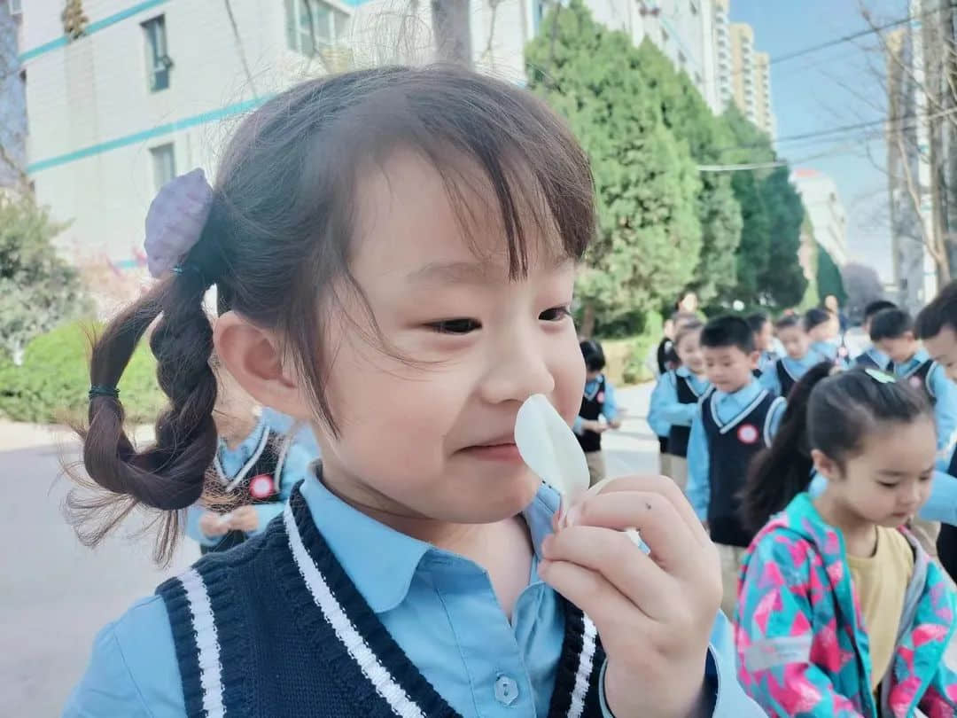 【預(yù)之春】燕鳥(niǎo)銜春來(lái)，百卉爭(zhēng)春光——石家莊私立一中附小預(yù)科部|“預(yù)”見(jiàn)春之美