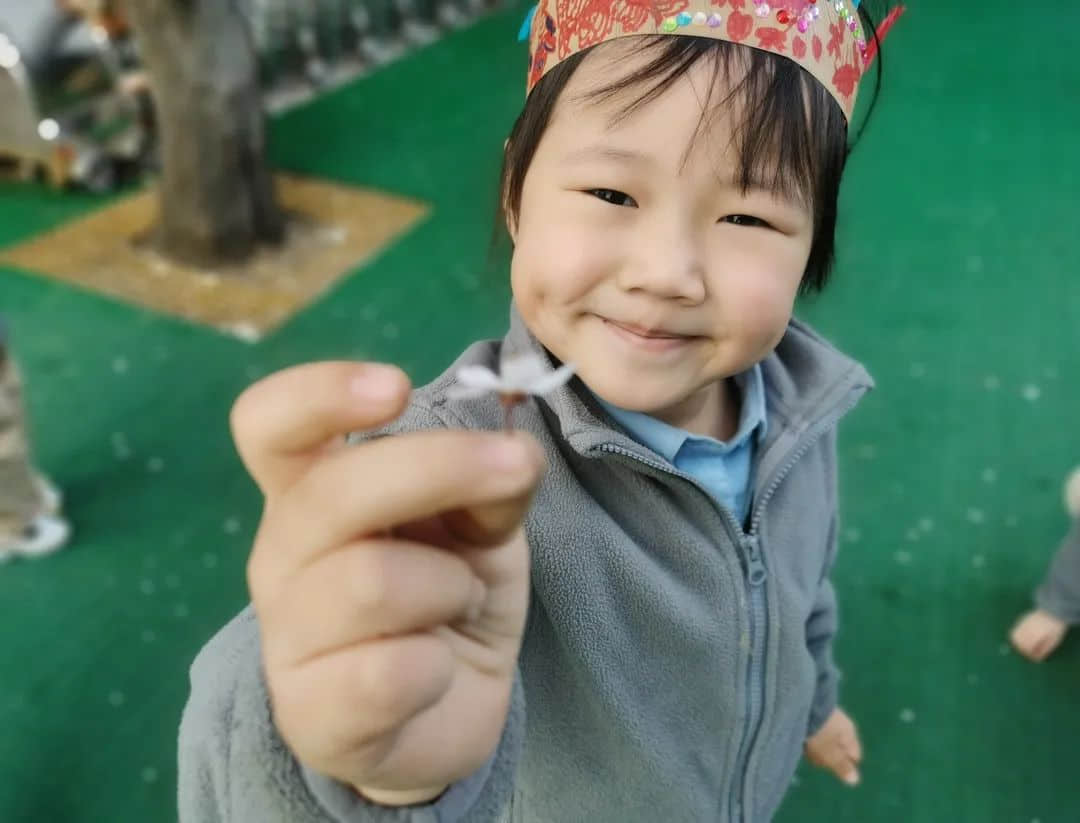 【預(yù)之春】燕鳥(niǎo)銜春來(lái)，百卉爭(zhēng)春光——石家莊私立一中附小預(yù)科部|“預(yù)”見(jiàn)春之美