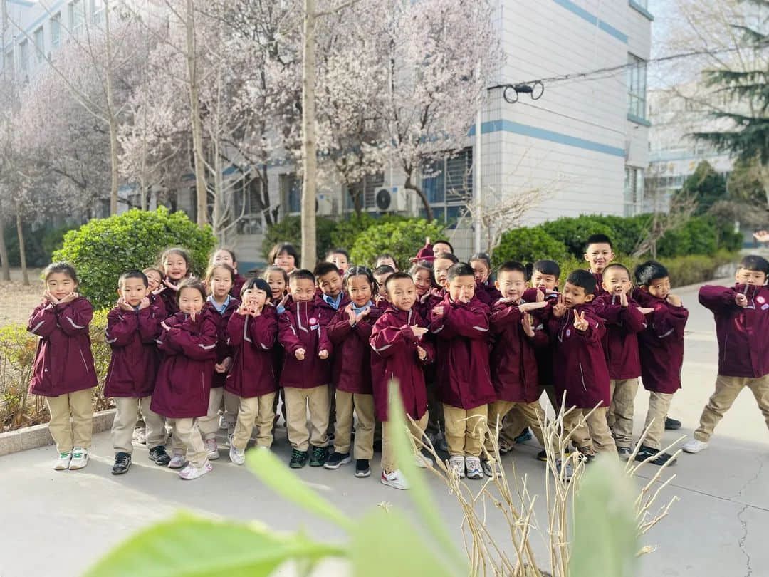 【預(yù)之春】燕鳥(niǎo)銜春來(lái)，百卉爭(zhēng)春光——石家莊私立一中附小預(yù)科部|“預(yù)”見(jiàn)春之美