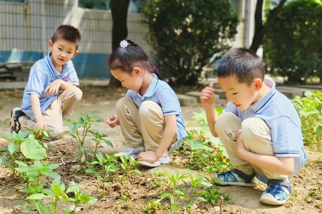 【預(yù)之樂】慶六一，“預(yù)”成長——石家莊私立一中附小預(yù)科部兒童節(jié)成長月系列活動
