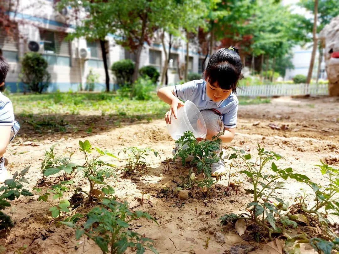 【預(yù)之樂】慶六一，“預(yù)”成長——石家莊私立一中附小預(yù)科部兒童節(jié)成長月系列活動