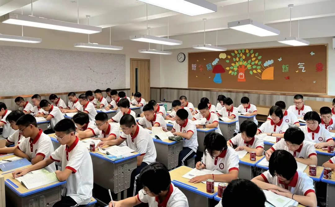 你好，新同學(xué)！