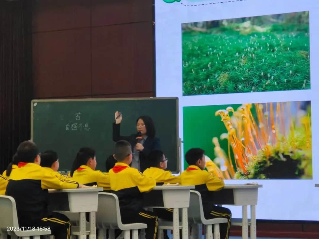 【立小?聚光燈】課程撬動 學(xué)校蝶變｜全國高質(zhì)量教育發(fā)展下課例展示——立小團隊邢臺站精彩落幕