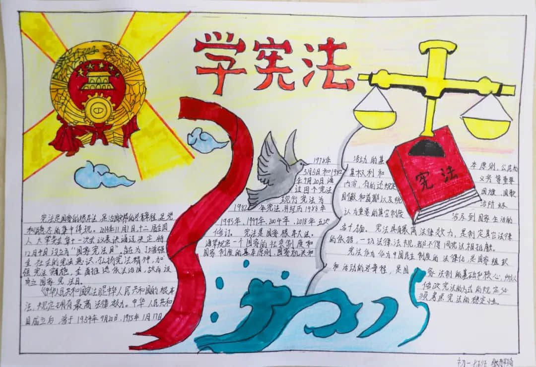 國家憲法日丨以憲為綱 學(xué)法守法