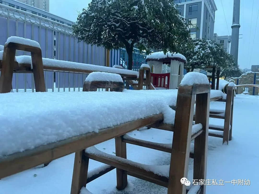 【幼之樂】“立寶兒”雪趣，邂逅最美童年