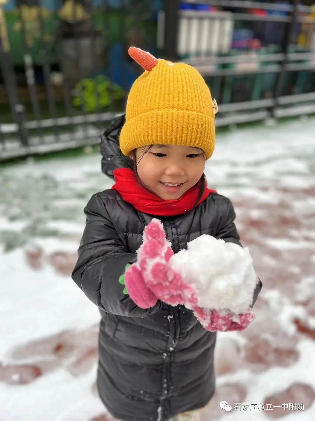 【幼之樂】“立寶兒”雪趣，邂逅最美童年
