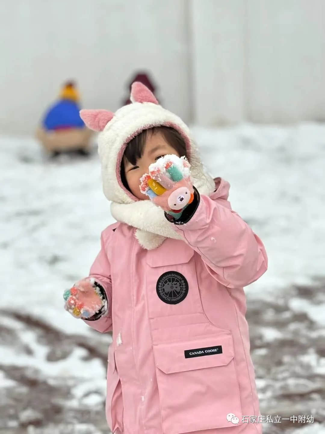 【幼之樂】“立寶兒”雪趣，邂逅最美童年
