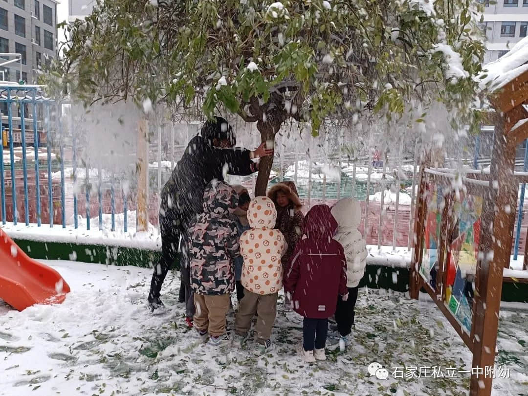 【幼之樂】“立寶兒”雪趣，邂逅最美童年