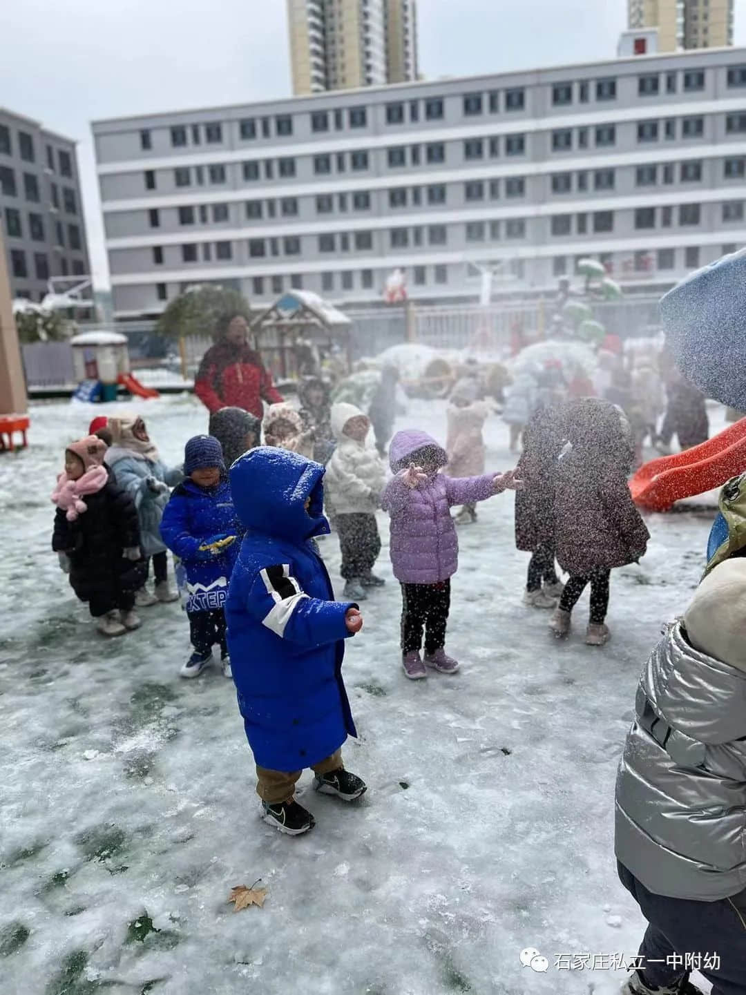 【幼之樂】“立寶兒”雪趣，邂逅最美童年