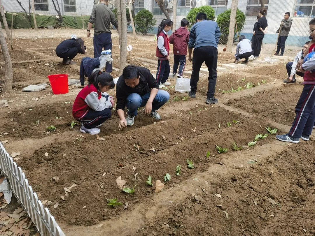 【立小?生命教育】尋味種植園 探秘中草藥｜三年級百草園種植課程開啟儀式