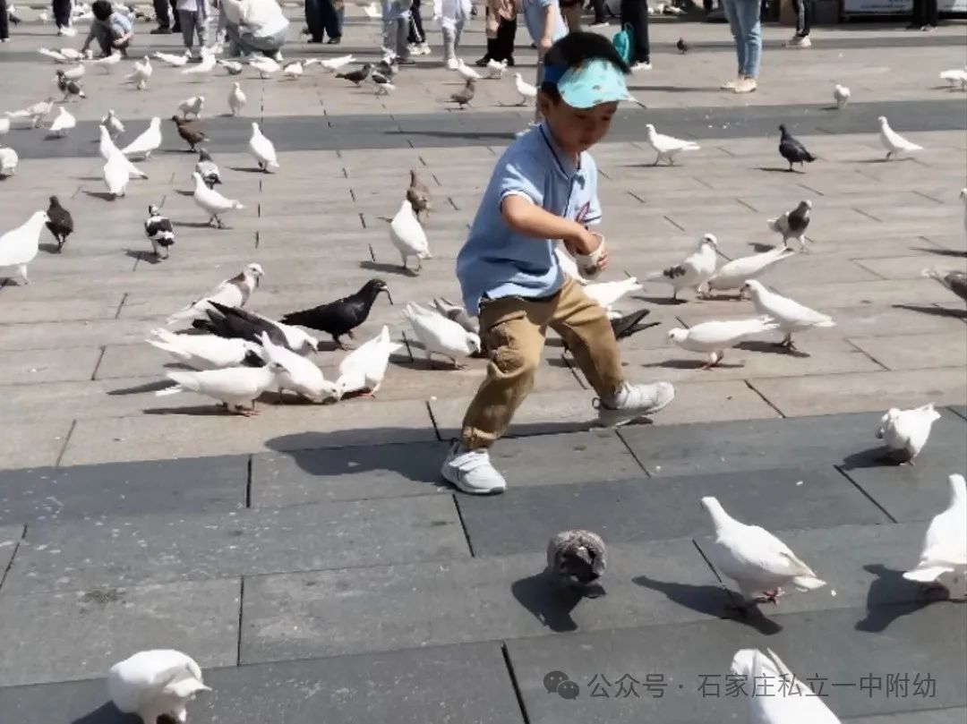 【春游】時(shí)光恰好 “幼趣”春游---幼兒科技館之行