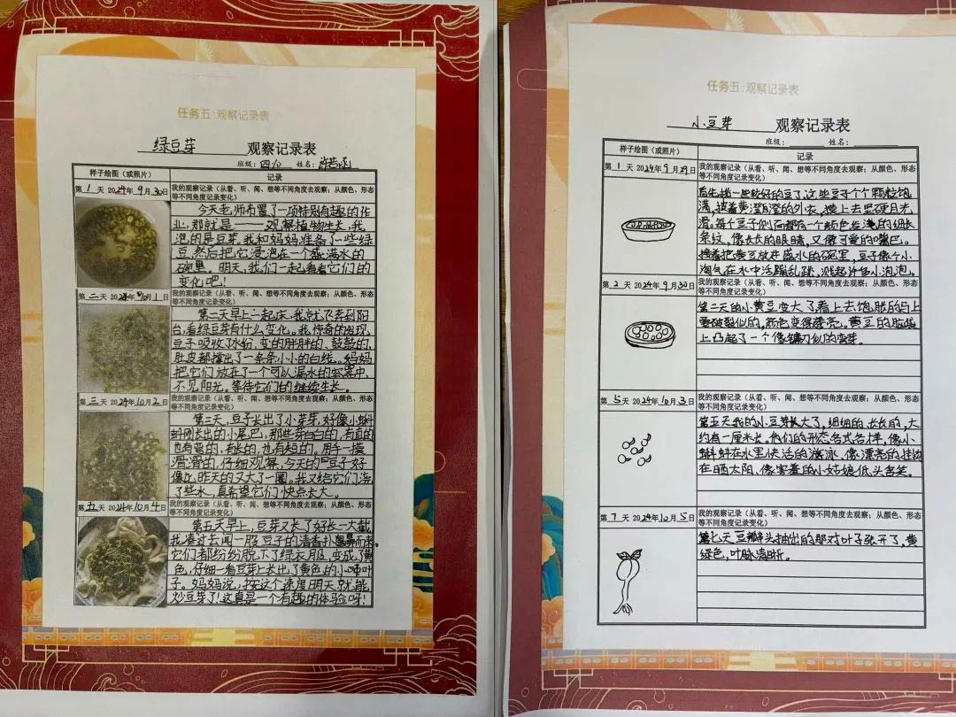 【立小?思政】“國慶”實踐類特色作業(yè)，請查收！