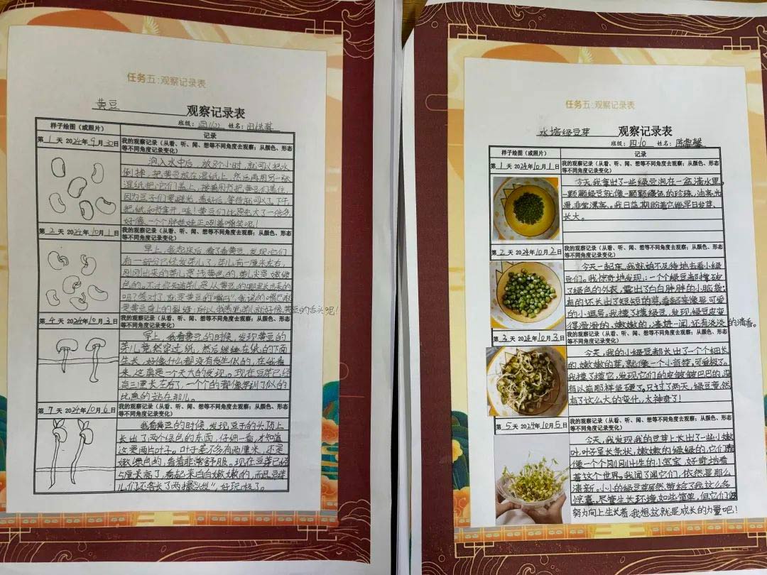 【立小?思政】“國慶”實踐類特色作業(yè)，請查收！