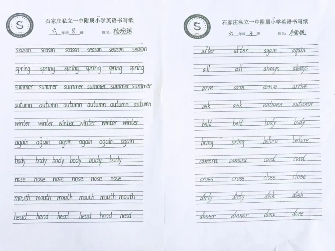 【立小 ? 教學(xué)】“英”趣盎然，“語”眾不同｜英語學(xué)科項目式學(xué)習(xí)展