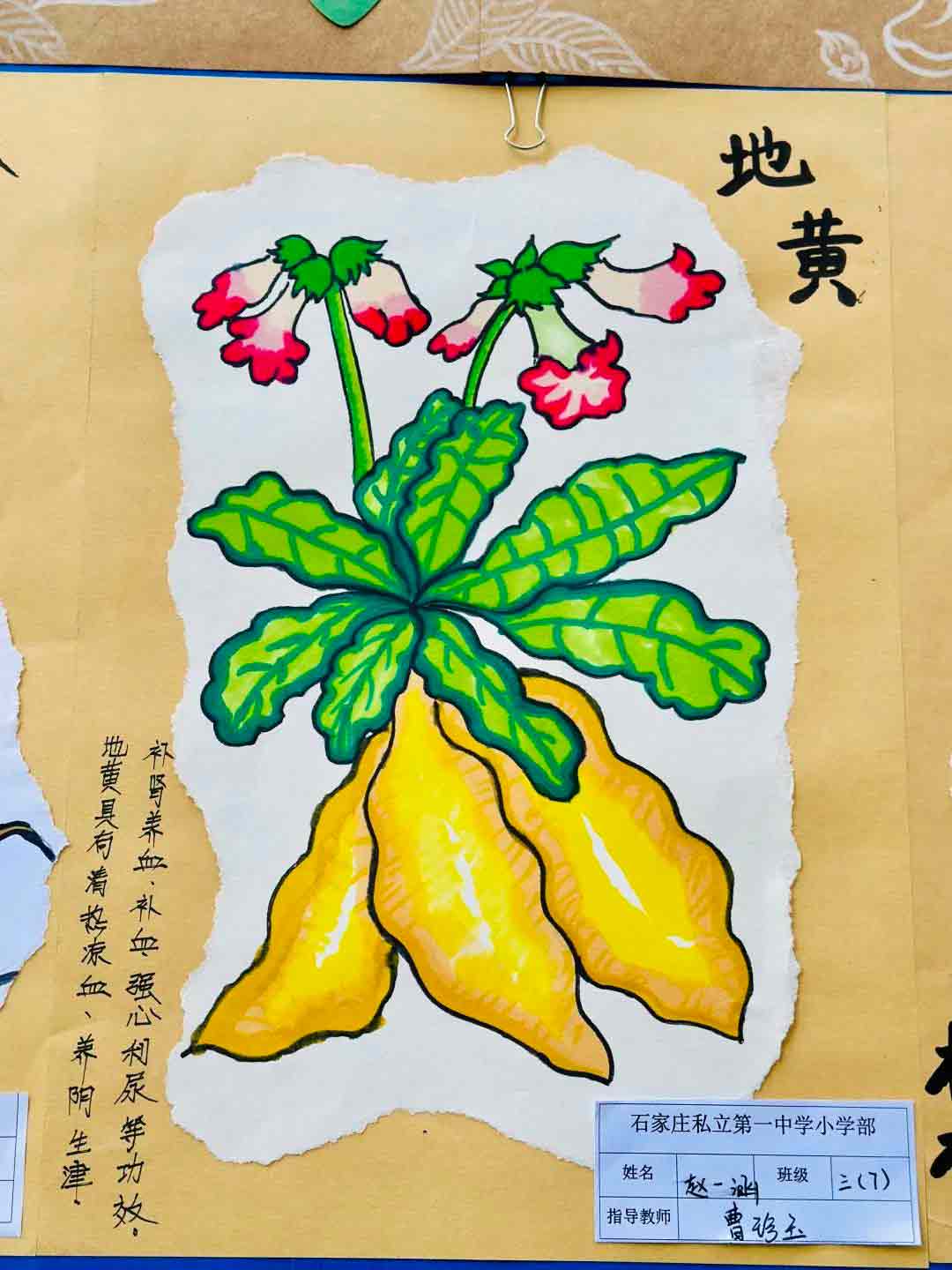 【立小 ? 美育】觀四大國(guó)粹 賞童真童畫(huà) | 美術(shù)項(xiàng)目式學(xué)習(xí)主題畫(huà)展